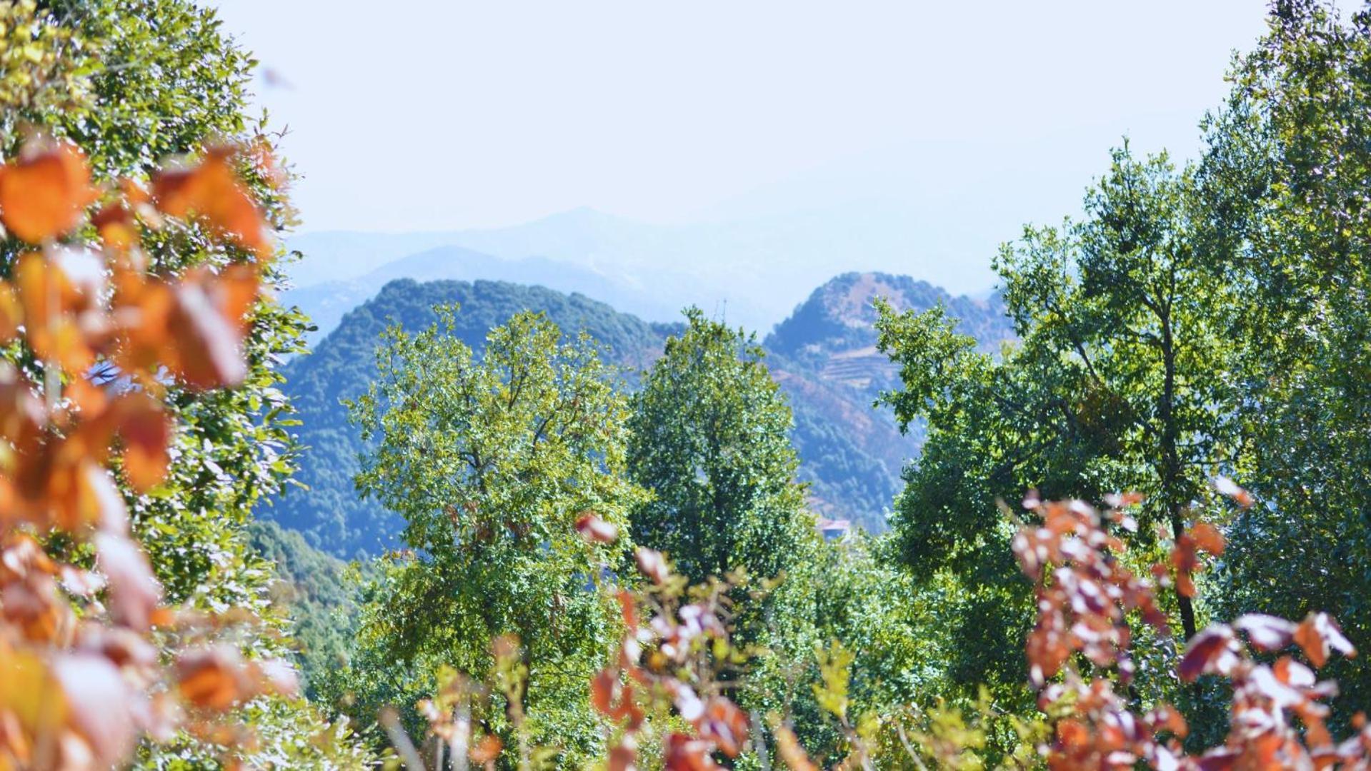 Haut Monde King'S Paradise Resort Kanatal Exterior photo