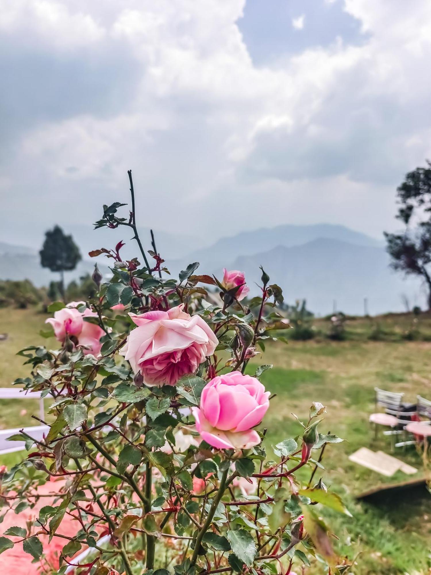 Haut Monde King'S Paradise Resort Kanatal Exterior photo